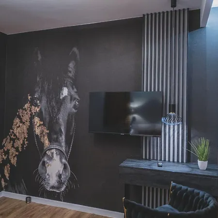 W Cieplicach Luxury Apartmán *